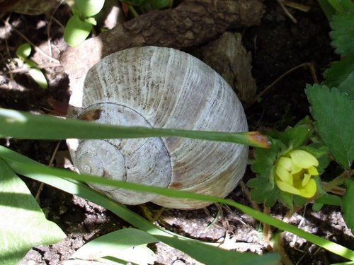 20160503_8889.jpg