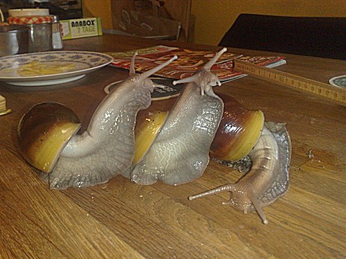 161120164563 - Kopie.jpg