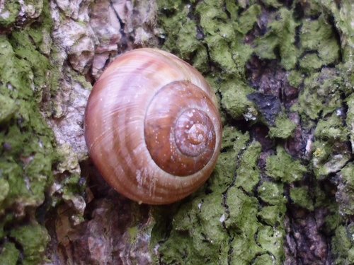 20160506_8905.jpg
