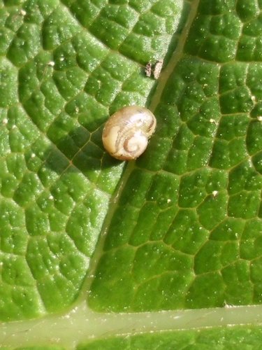 20160526_9193.jpg