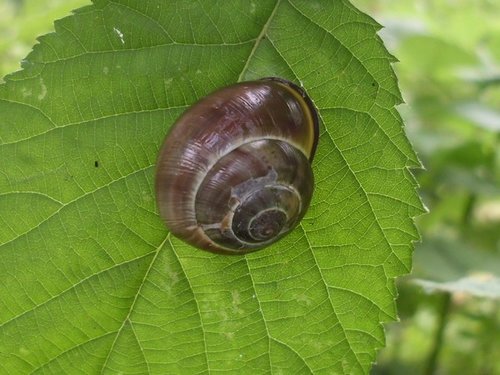 20160616_Segeroth_9547.jpg