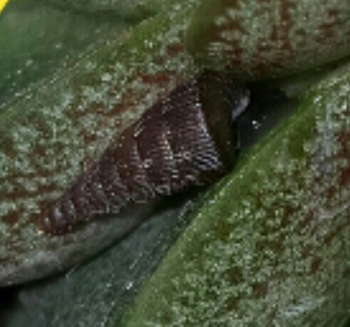 20170303_212734.jpg
