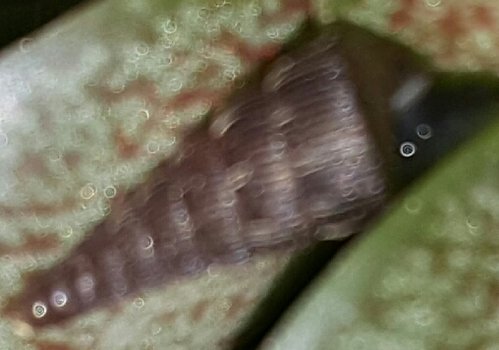 20170303_224609.jpg