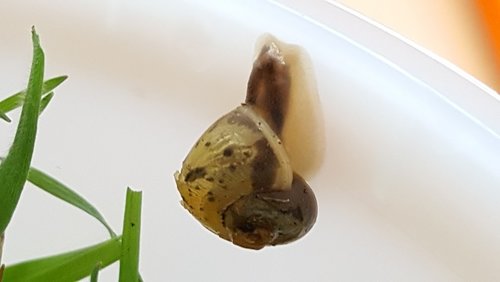 S2.jpg