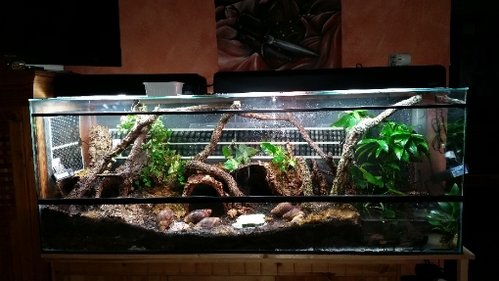 neues Terrarium.jpg
