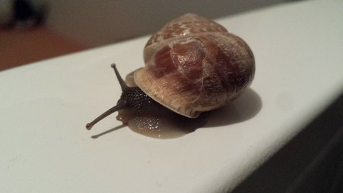 20170416_073128.jpg