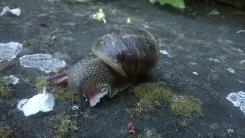 WP_20160513_20_29_05_Pro.jpg