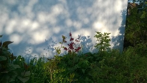 WP_20170420_18_42_50_Pro.jpg
