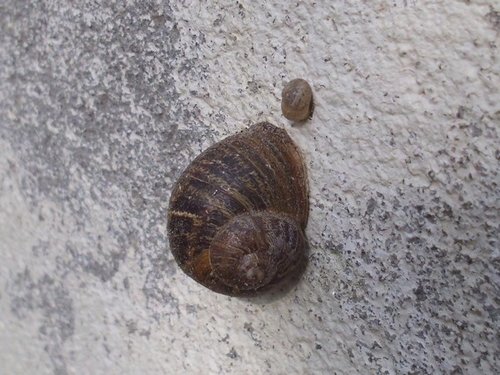 20170402_2541.jpg
