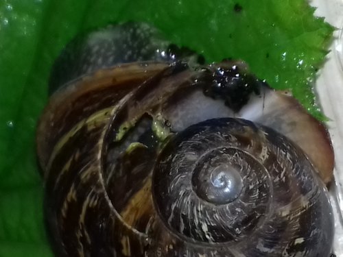 20170508_153842.jpg