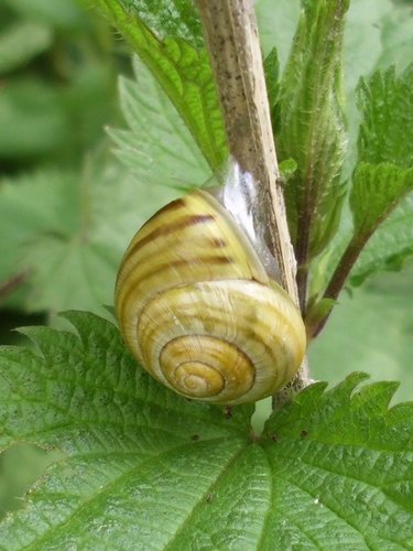 20170503_2867.jpg