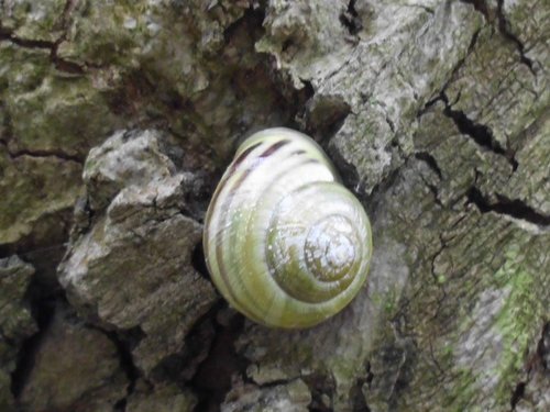20170503_2869.jpg
