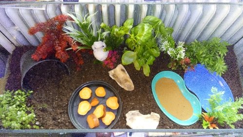 IMG_20170407_191459.jpg