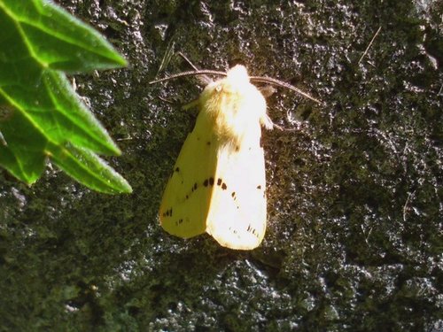 20170510_2950.jpg