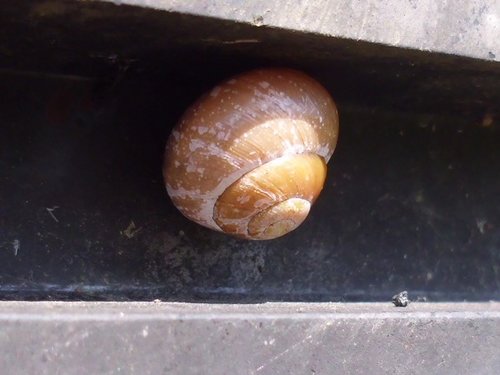 20170510_2957.jpg