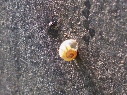 20170510_2959.jpg