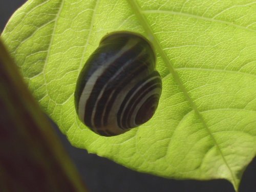 20170510_2961.jpg