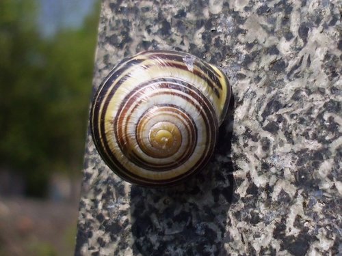 20170510_2963.jpg
