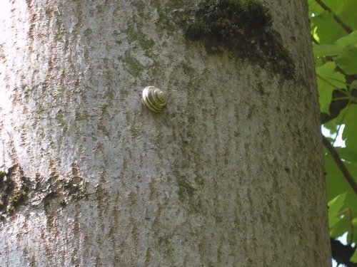 20170510_2967.jpg