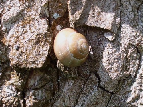 20170510_2969.jpg