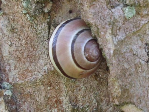 20170510_2970.jpg