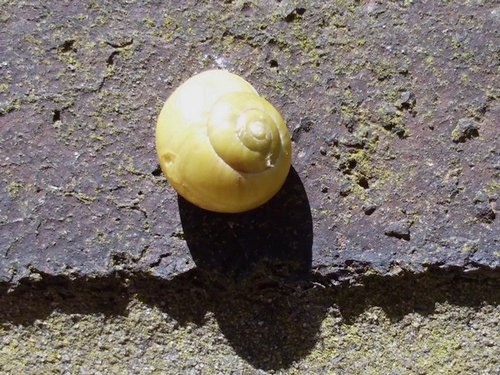 20170515_3096.jpg