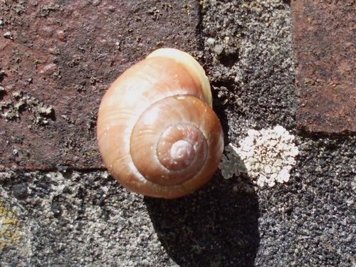 20170515_3098.jpg