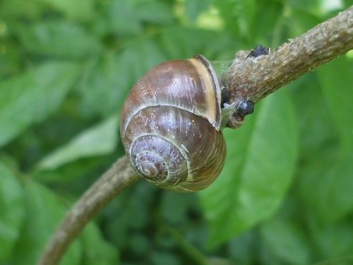 20170516_3126.jpg