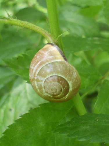 20170516_3127.jpg