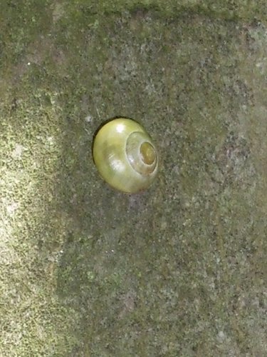 20170517_3156.jpg
