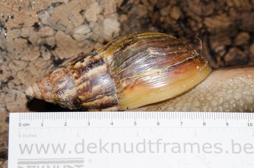 DSC_7700.jpg