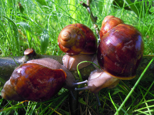 DSCN8512.JPG