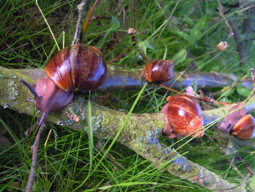 DSCN8540.JPG