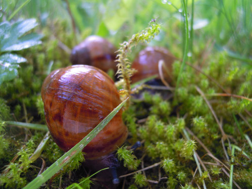 DSCN8557.JPG