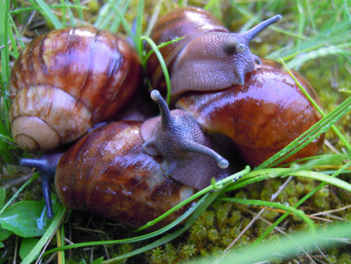 DSCN8595.JPG