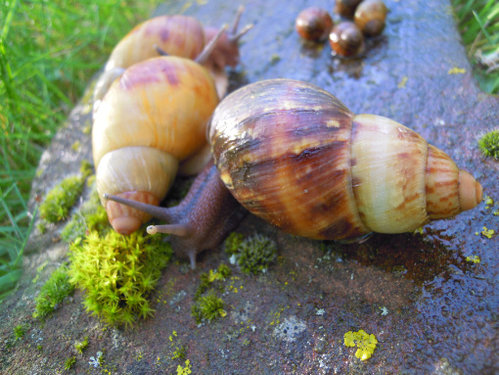DSCN8563.JPG