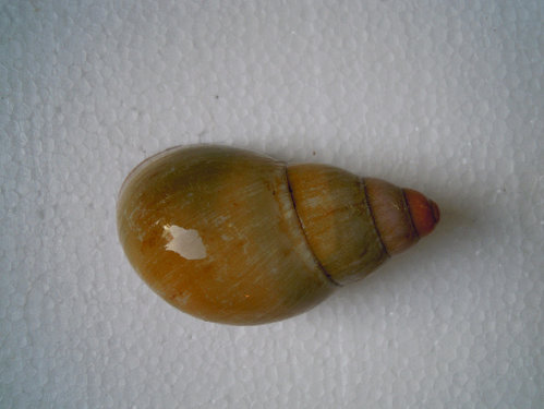 DSCN8472.JPG