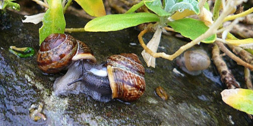 P1300768.JPG