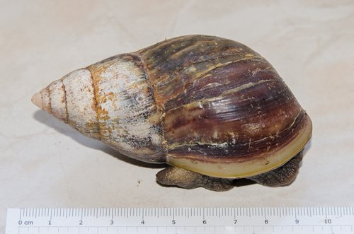 DSC_8777.jpg