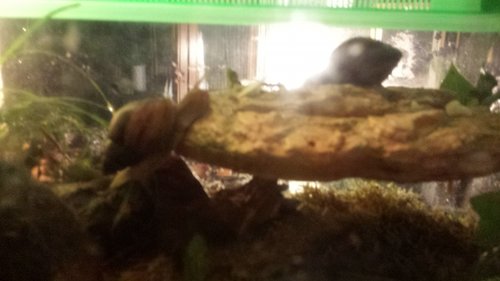 20170602_222122.jpg