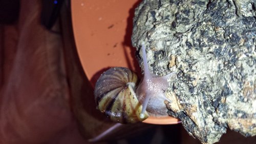 20170531_213013.jpg