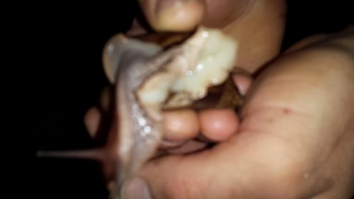 20170617_220835.jpg