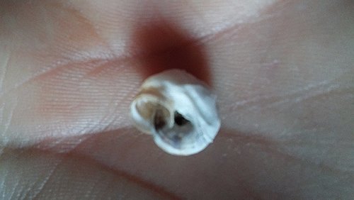 20170623_195101.jpg