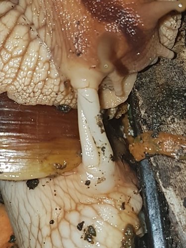 20170625_110155.jpg