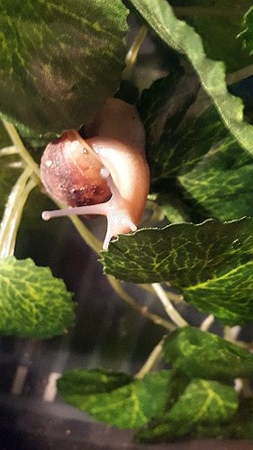 20170711_084443.jpg