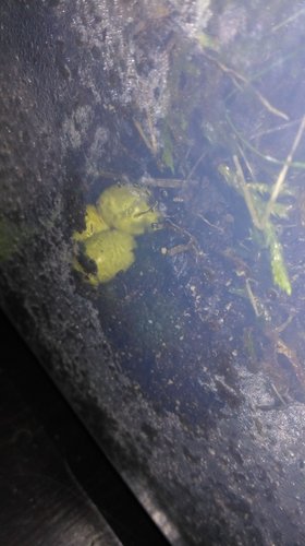 IMG-20170623-WA0000.jpeg