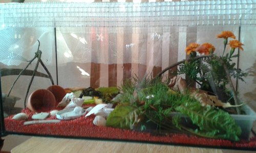 20170705_201224.jpg