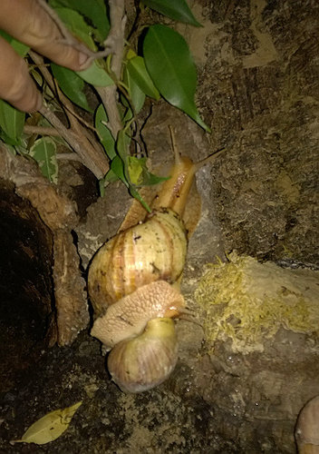 WP_20170726_006.jpg
