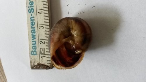 20170731_145126.jpg