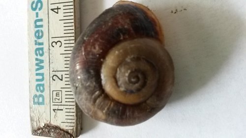 20170731_145149.jpg